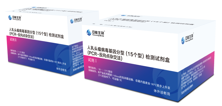 人乳头瘤病毒基因分型(15个型)检测试剂盒